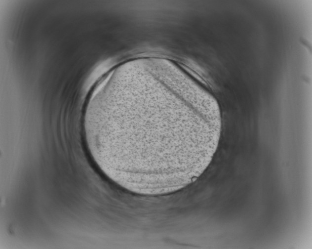 X0000097500007200803142029