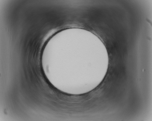 X0000097500008200803142029