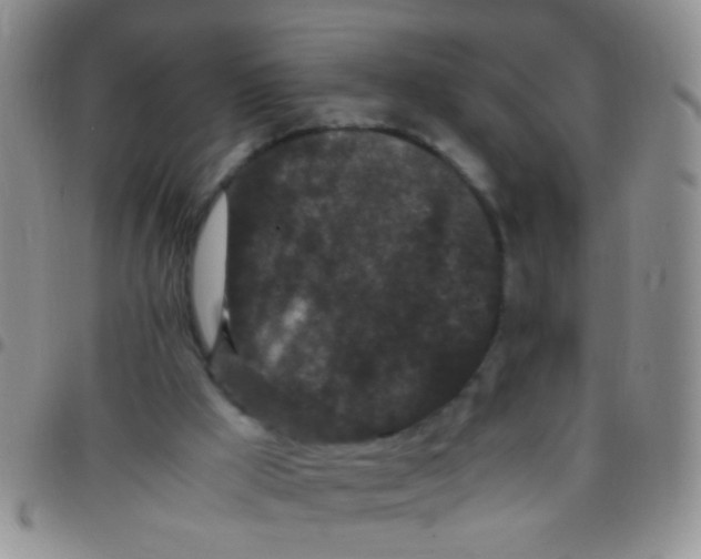 X0000097500009200803142029
