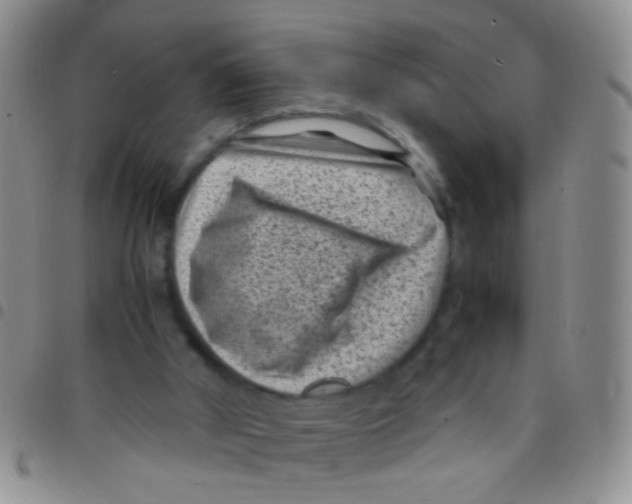 X0000097500010200803142029