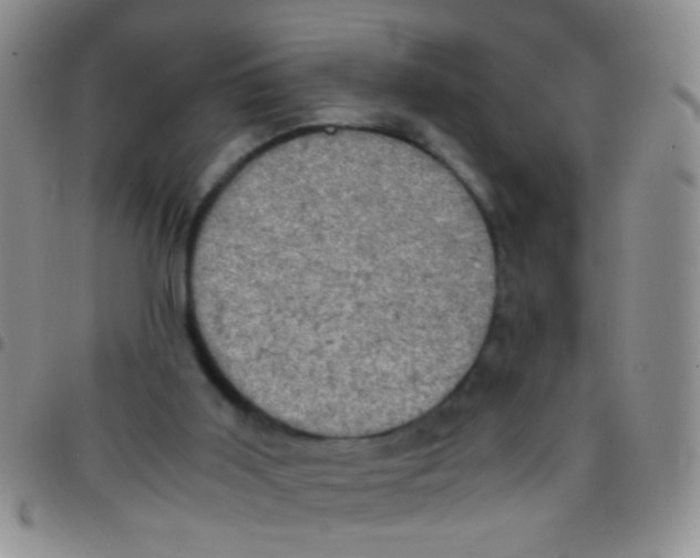 X0000097500011200803142029