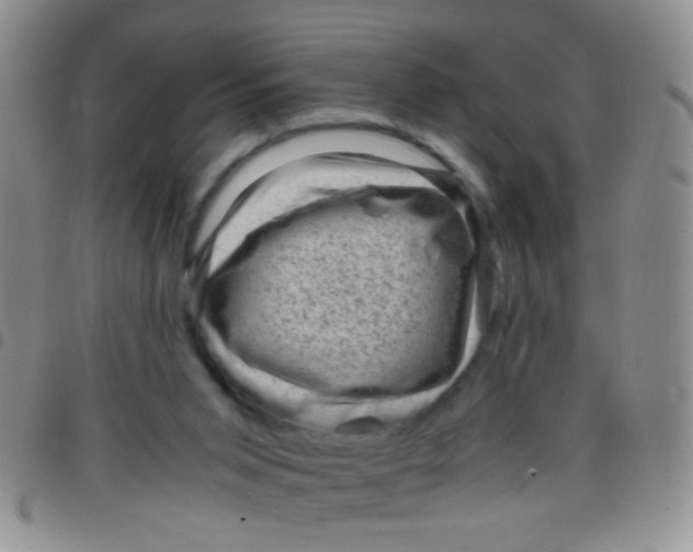 X0000097500015200803142029