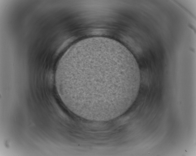 X0000097500016200803142029