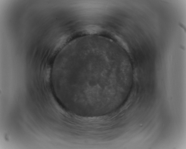 X0000097500018200803142029