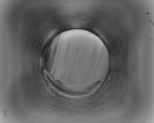 X0000097500019200803142029