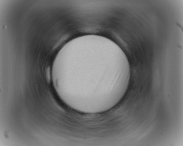 X0000097500020200803142029