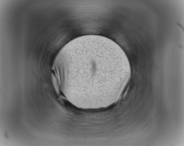 X0000097500021200803142029