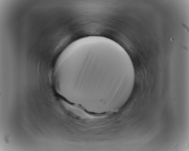 X0000097500023200803142029
