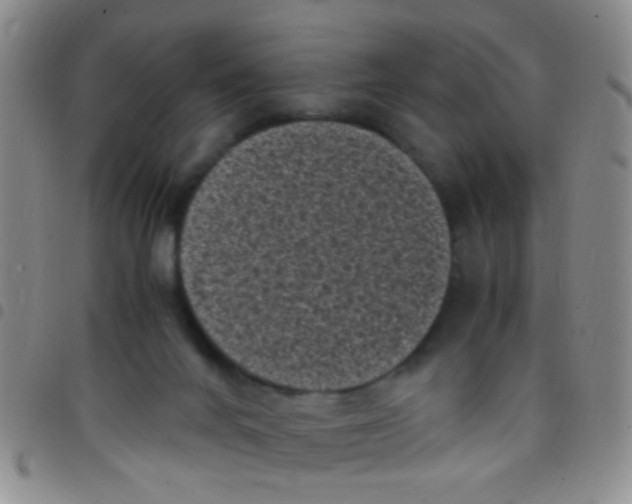 X0000097500024200803142029