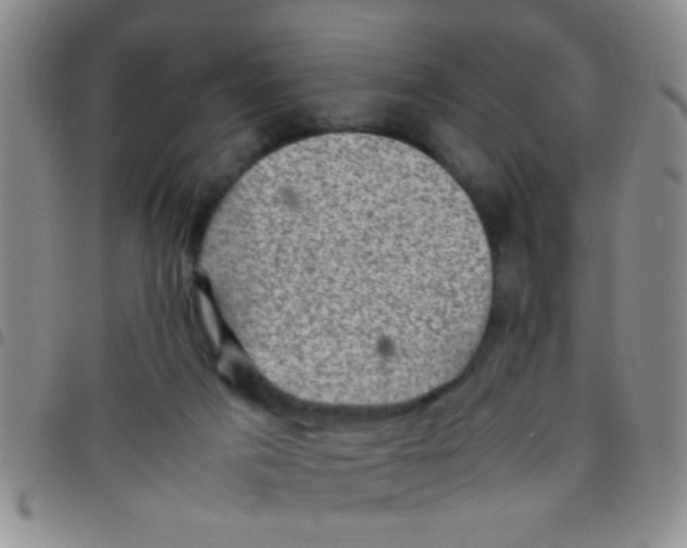 X0000097500025200803142029