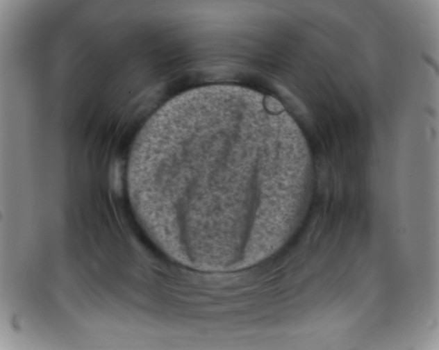 X0000097500026200803142029