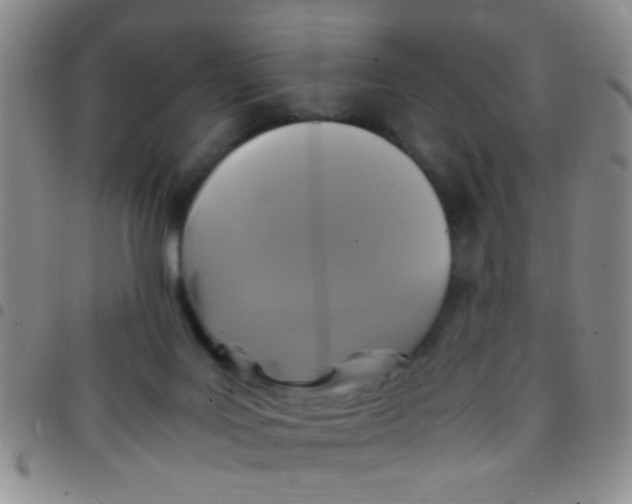 X0000097500027200803142029
