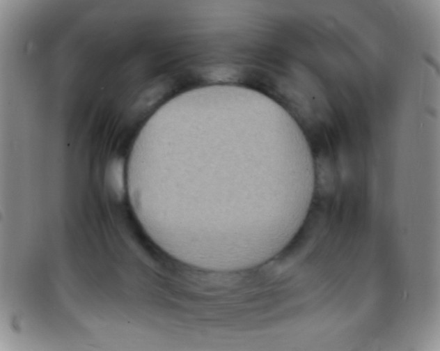 X0000097500028200803142029