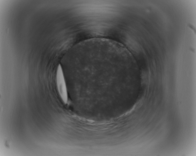 X0000097500029200803142029
