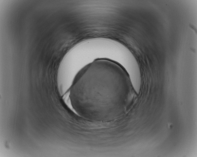 X0000097500031200803142029