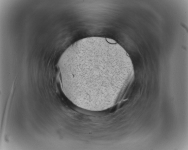 X0000097500033200803142029