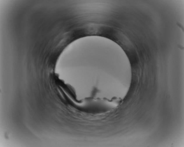 X0000097500035200803142029