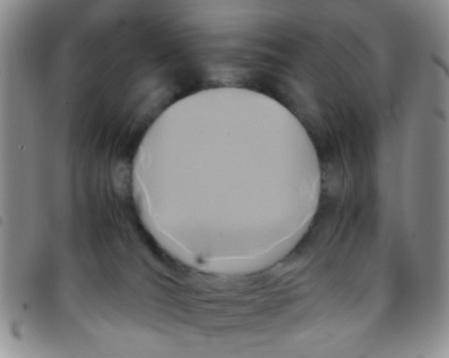 X0000097500036200803142029