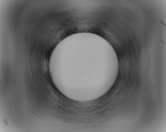 X0000097500038200803142029