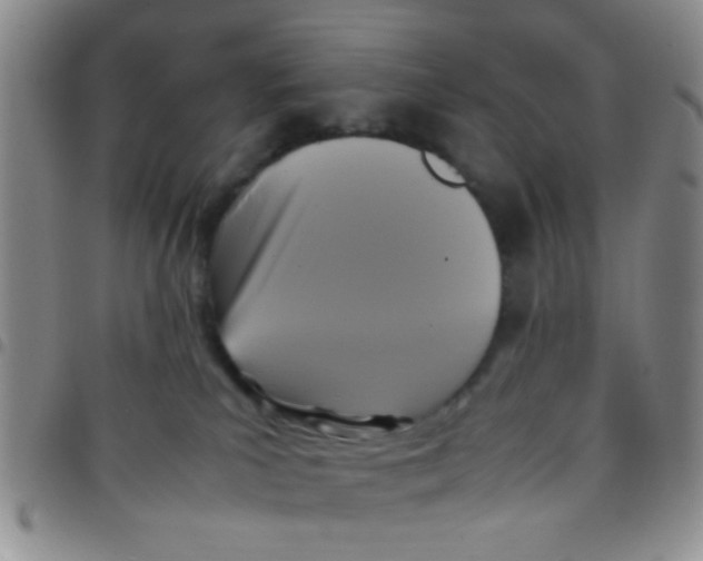 X0000097500039200803142029