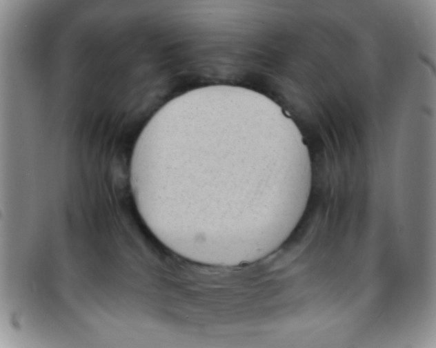 X0000097500040200803142029