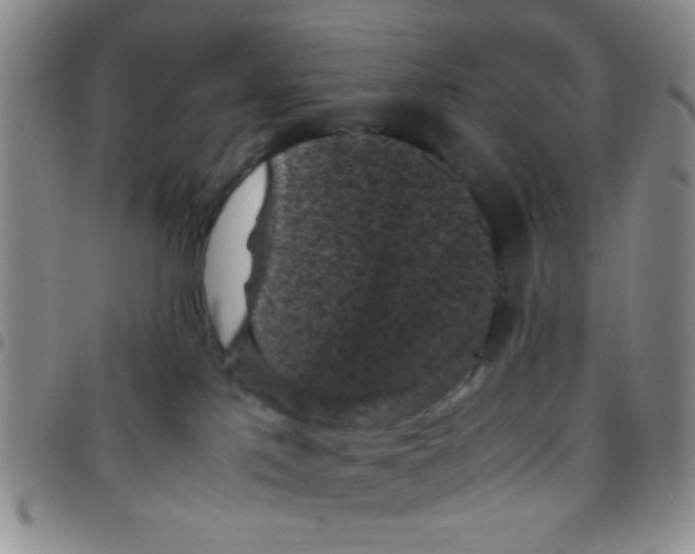 X0000097500041200803142029