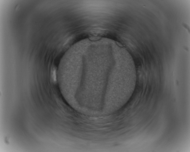 X0000097500042200803142029