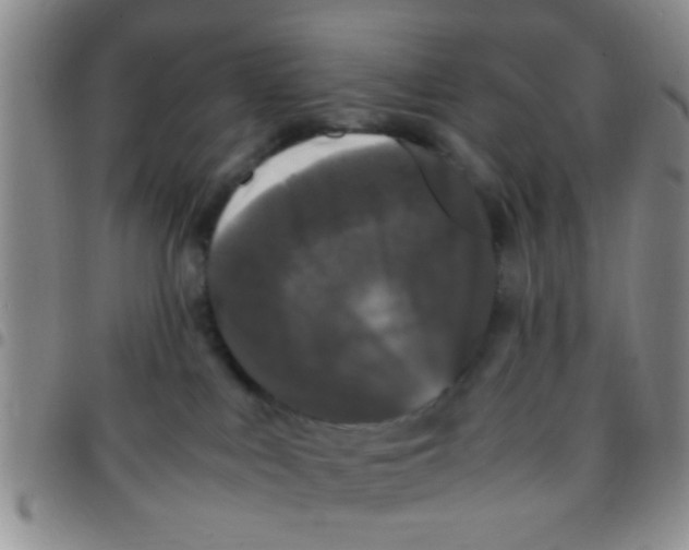 X0000097500043200803142029