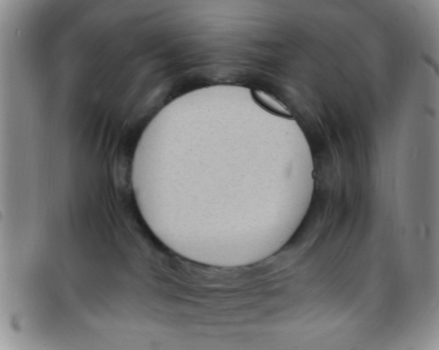 X0000097500044200803142029