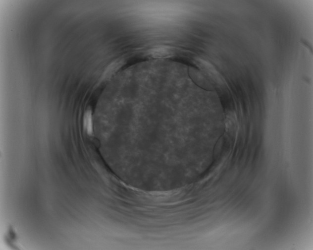X0000097500046200803142029