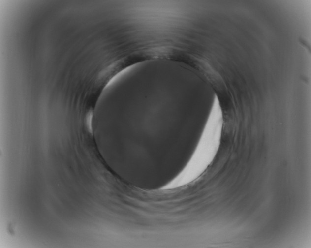 X0000097500047200803142029