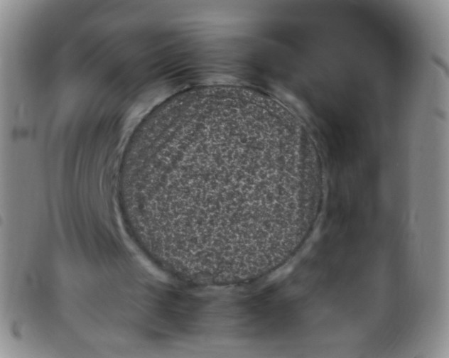X0000097500049200803142028