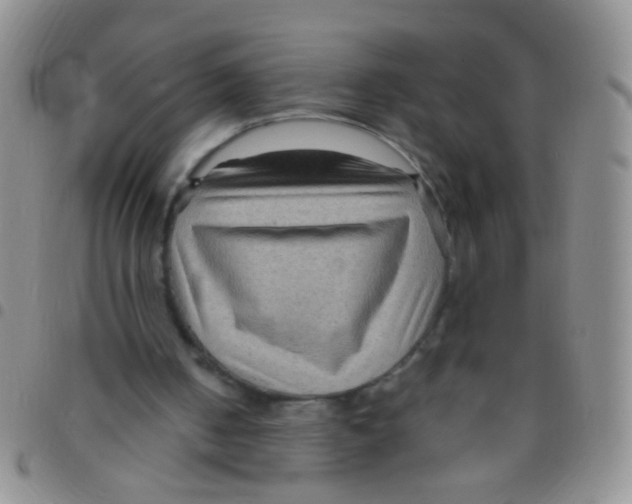 X0000097500050200803142028
