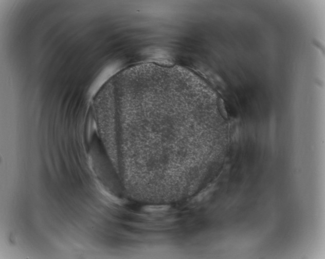 X0000097500051200803142028