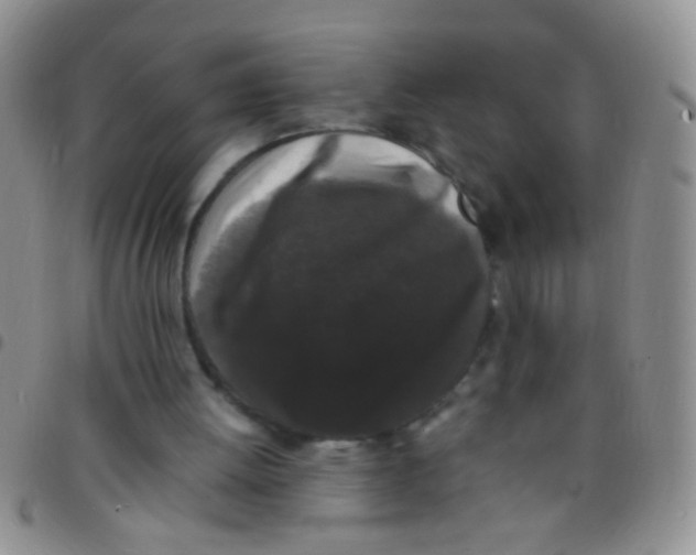 X0000097500052200803142028