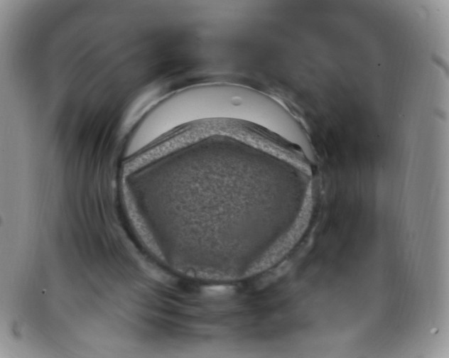 X0000097500053200803142028