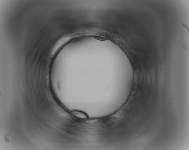 X0000097500054200803142028
