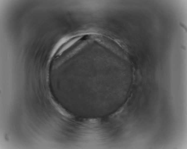 X0000097500056200803142028