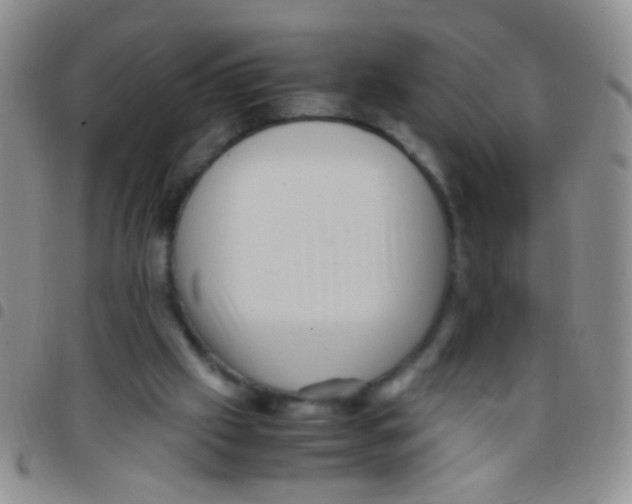 X0000097500057200803142028