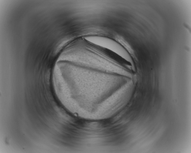 X0000097500058200803142028