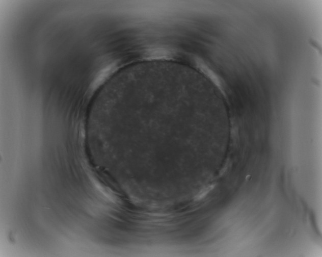 X0000097500059200803142028