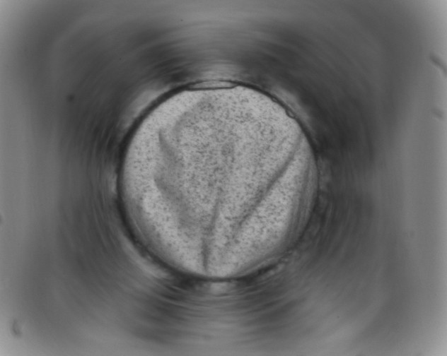 X0000097500060200803142028