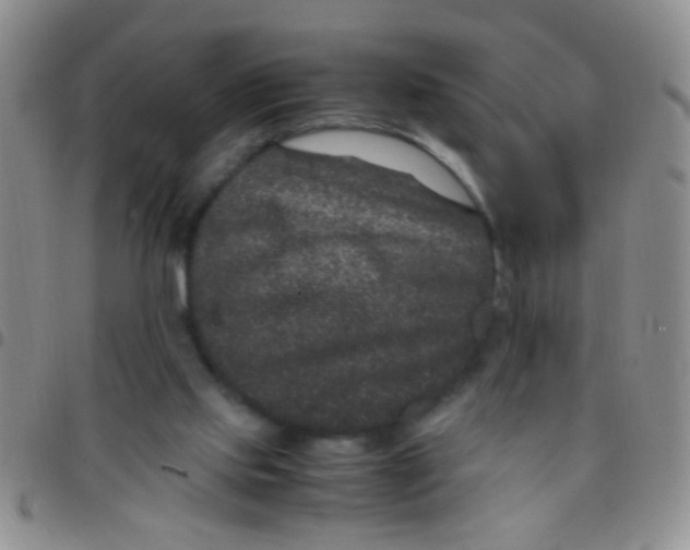 X0000097500061200803142028