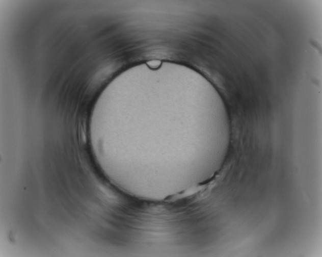 X0000097500062200803142028