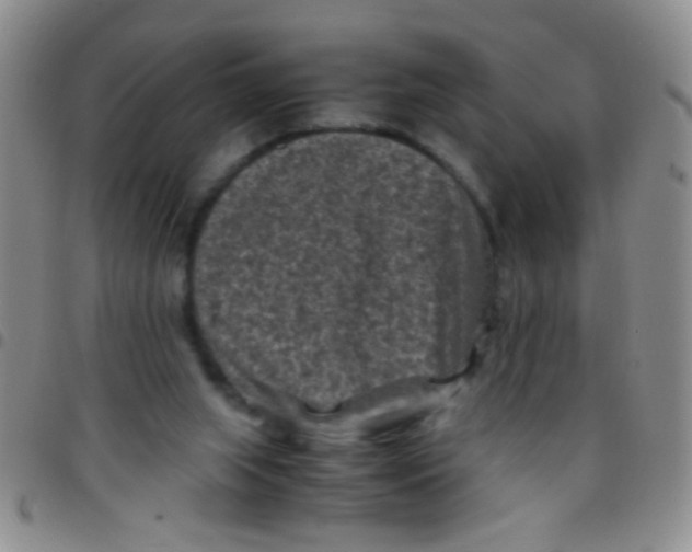 X0000097500063200803142028