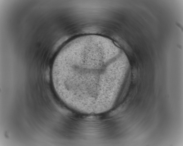 X0000097500064200803142028