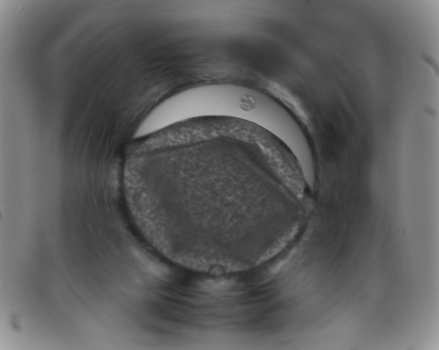 X0000097500065200803142028