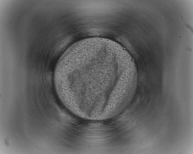 X0000097500066200803142028