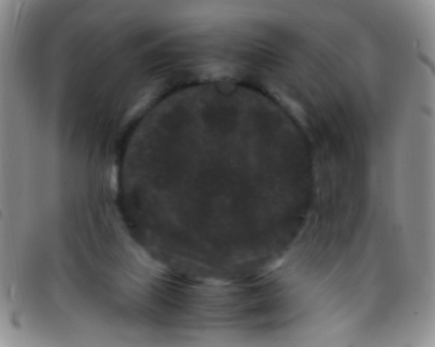 X0000097500067200803142028