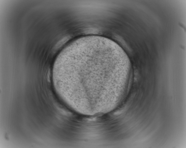 X0000097500068200803142028